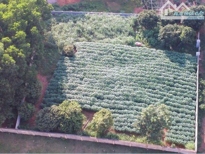 Bán  1.280m² Đất Phường Tùng Thiện Hà Nội - Đễ Phân Lô, Thích Hợp Nhà Vườn Nghỉ - 2