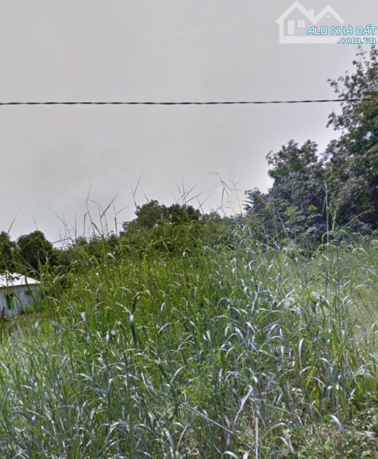 BÁN ĐẤT ĐẸP MẶT TIỀN – 3.979m² – PHƯỜNG HÒA LỢI, TP BẾN CÁT, BÌNH DƯƠNG – CÓ 2.000m² THỔ C - 2