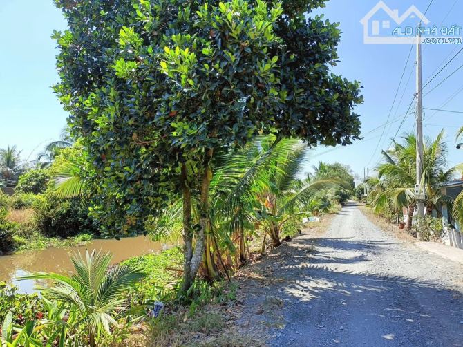 1300m2 đất vườn Bến Lức Long An sổ sẵn giá 290tr đường 5m - 2