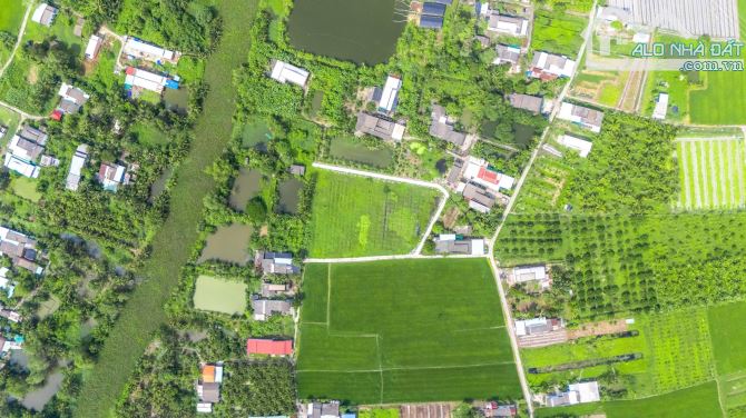 Đất Đẹp Vuông Vức Tại Tân Trụ, Long An – 1,1 Tỷ – Gần Đường Lớn, Tiện Ích Đầy Đủ! - 3
