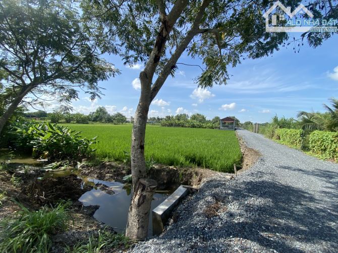Chủ ngộp bán rẻ 1000m2 QH dân cư ngang 45m - 3