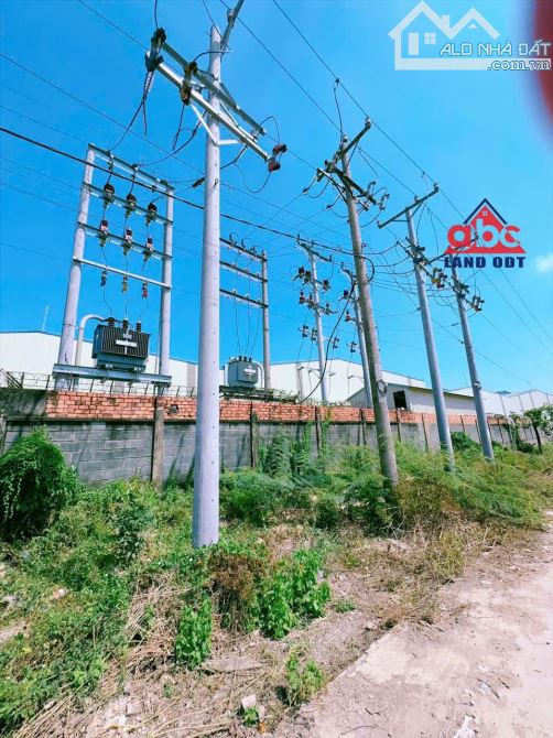XT491 🆘 Cho thuê xưởng 10.000m2 Tân An  - Đồng NaI - 3