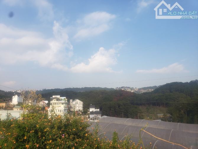 ĐẤT LỚN HƠN 2 SÀO CÓ VIEW QUY HOẠCH THỔ CƯ ĐƯỜNG HOÀNG HOA THÁM ĐÀ LẠT - 3