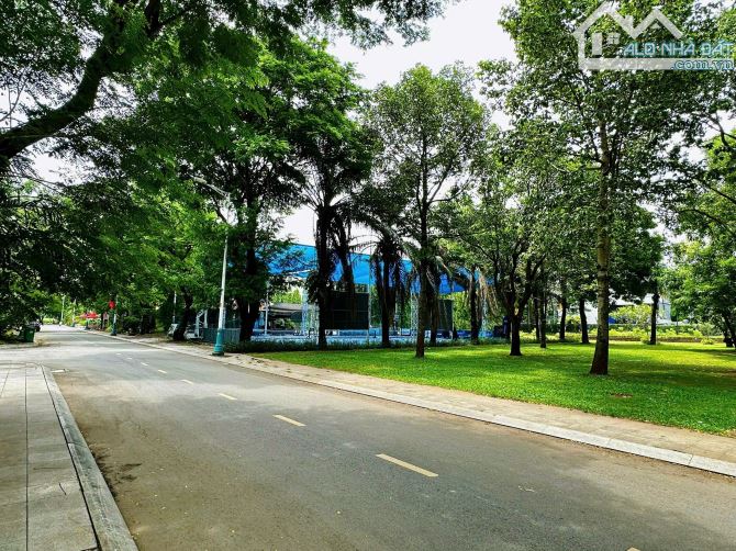 Siêu khan hiếm! Bán đất xây Villa trung tâm TML 14x26 CN 350m2 chỉ 47 tỷ - 3
