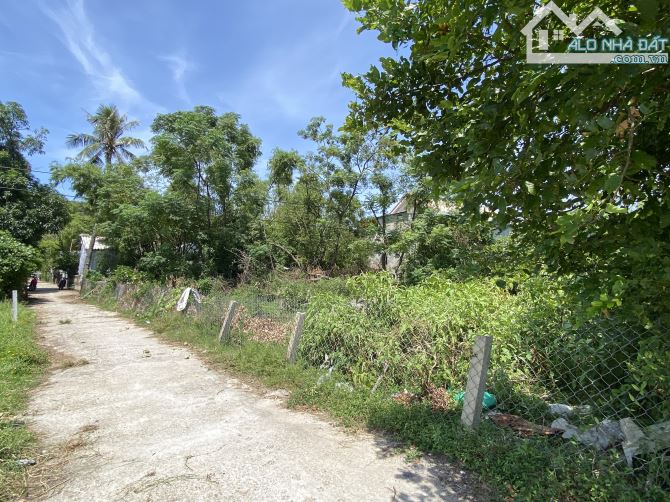 Đất an cư - 535m2 ngang 30m Hải Dương. Cách biển 600m - 3