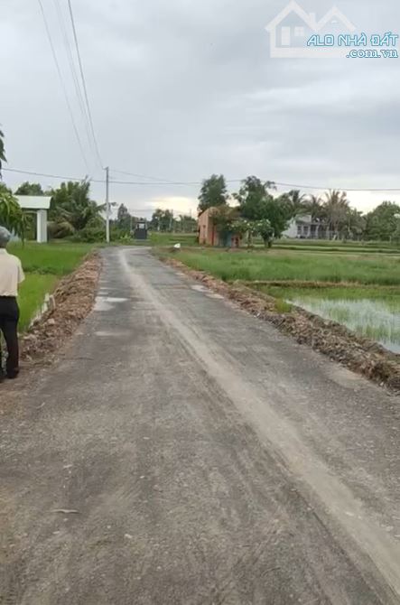 Bán đất đẹp vuông vức dt lớn 275m2,Sổ hồng riêng, Giá siêu hời 2 tỷ, An Ninh Đông,Đức Hòa - 3
