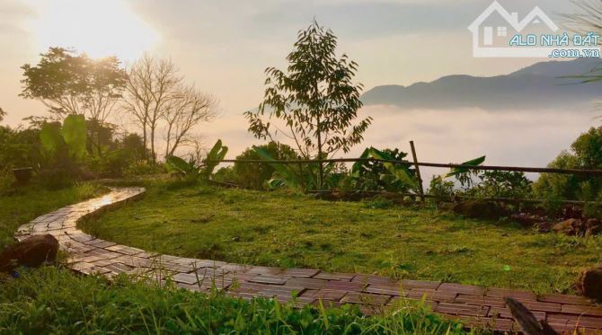 Săn mây tại gia với mức giá chỉ hơn 2 tỷ - Cầu Đất - Đà Lạt - 3