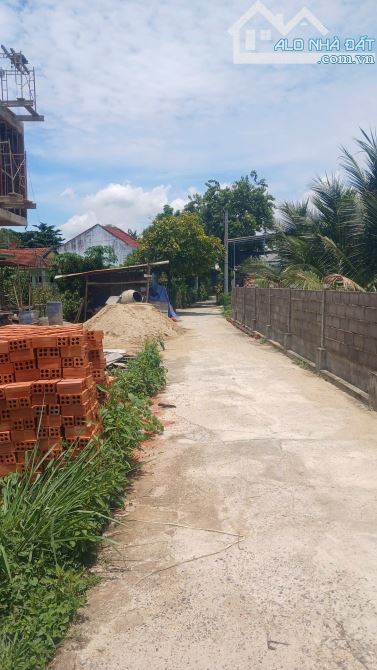 Bán Đất Thôn Thanh Minh 3, xã Diên Lạc, giá tốt - 3