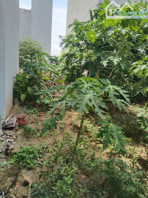 Bán đất Đồng Mai – 48,5m², lô góc 2 thoáng, ngõ thông, ô tô đỗ cửa Lô đất đẹp, vuông vắn, - 3