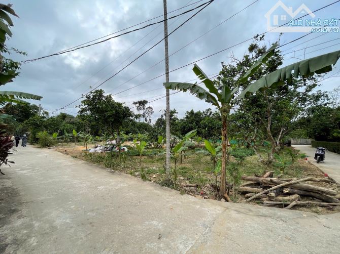 📣DÃY LÔ ĐẤT ĐẸP ,KIM LONG,  TP HUẾ , TÀI CHÍNH DƯỚI 1TỶ CHO QUÝ KHÁCH HÀNG ĐẦU TƯ 📣 - 3