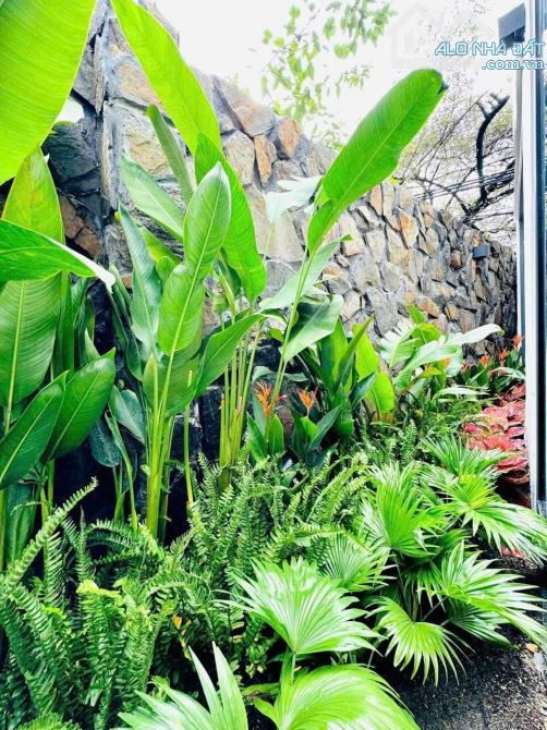 NHÀ 2 TẦNG 55M2( 5*11M) MỚI ĐẸP- KIỆT BÀU HẠC- THANH KHÊ- CHỈ 3.85T.Ỷ. - 3