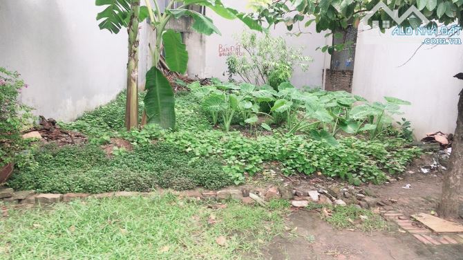 Bán Đất Ngõ 640 Nguyễn Văn Cừ, Gia Thụy, Long Biên, 62m2, MT6.5m, Phân Lô, Ô Tô - 3