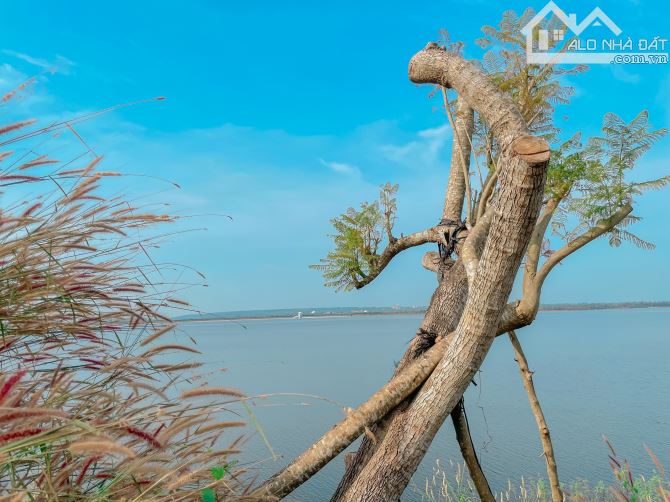 LÔ ĐẤT MẶT TIỀN ĐƯỜNG VÀNH ĐAI HỒ, VIEW TRỰC DIỆN HỒ TUYỆT ĐẸP, QUY HOẠCH ĐẤT Ở 100% - 3