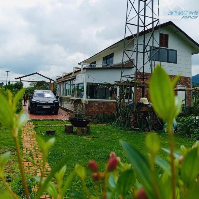 ‼️Chỉ 2,8 tỷ sỡ hữu BT nghỉ dưỡng đẹp như mơ, mt Đinh Công Tráng, Lộc Châu, Bảo Lộc‼️ - 3