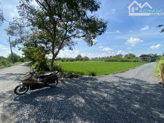 Chủ ngộp bán rẻ 1000m2 QH dân cư ngang 45m - 4