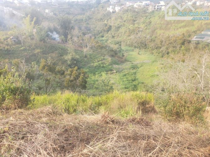 ĐẤT LỚN HƠN 2 SÀO CÓ VIEW QUY HOẠCH THỔ CƯ ĐƯỜNG HOÀNG HOA THÁM ĐÀ LẠT - 4