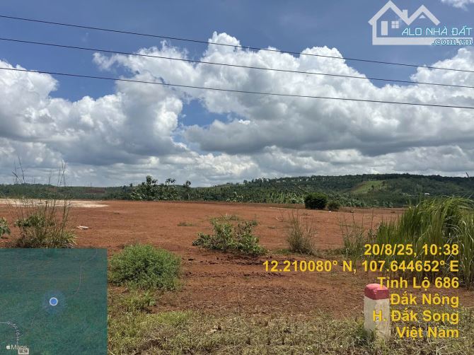 Bán gấp đất tỉnh lộ 686 xã Nâm N