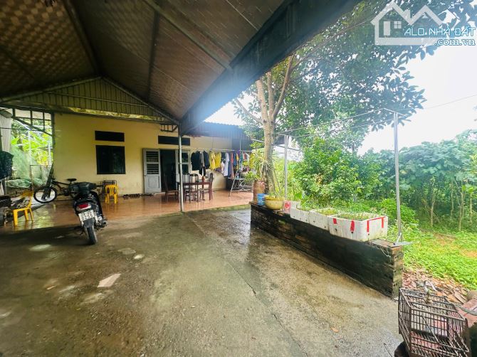 720M2 VIEW CÁNH ĐỒNG, TẶNG NHÀ KIÊN CỐ - 4