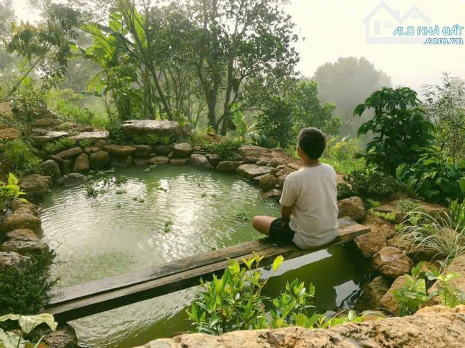 Săn mây tại gia với mức giá chỉ hơn 2 tỷ - Cầu Đất - Đà Lạt - 4