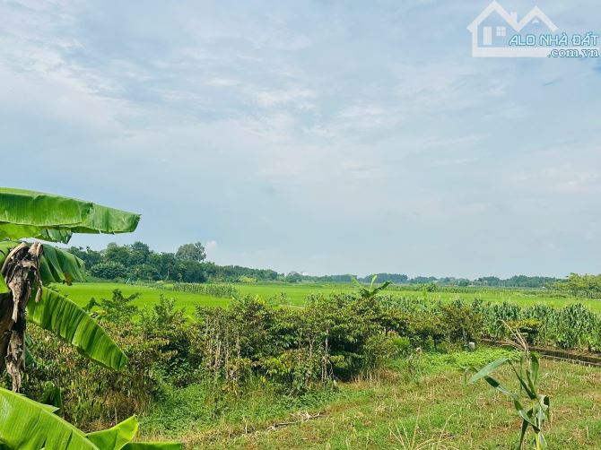 720M2 VIEW CÁNH ĐỒNG, TẶNG NHÀ KIÊN CỐ - 5