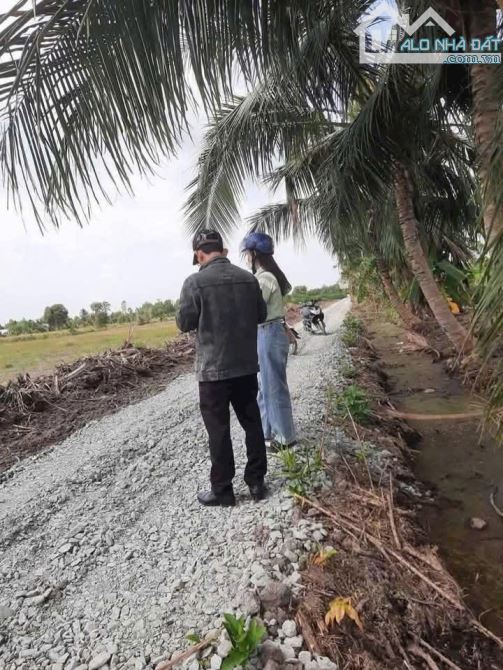 Quá rẻ, 508m2 đất vườn 10.5 x 48m view kênh chỉ 320tr - 5