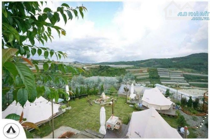 Cần bán lô đất CAMPING đã có cơ sở hạ tầng, tiểu cảnh, hệ thống điện nước để tạo dòng tiền - 5