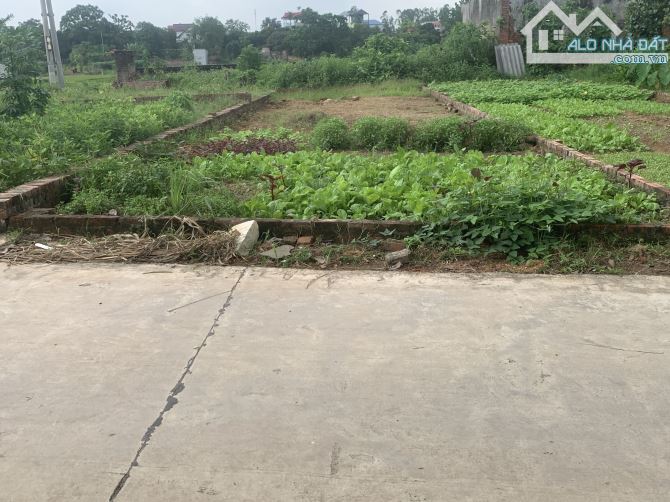 Bán Đất – Thắng Trí (xã Minh Trí – Sóc Sơn) – 145m²- 3,4 Tỷ -Trục Chính Thôn -2 ÔTô Tránh - 5