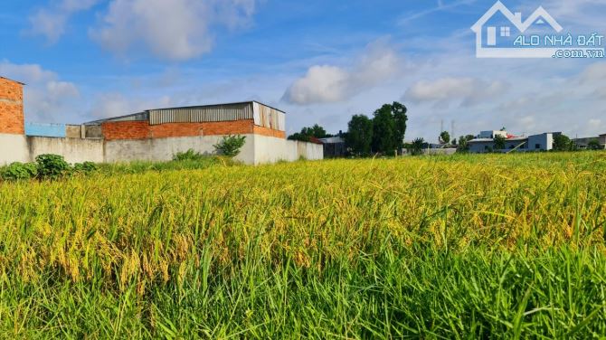 Bán đất giá rẻ 7x63m nở hậu ,giá 2 tỷ 350 triệu , ấp 2, Xã Đức Hòa Đông, Đức Hòa, Long An. - 5