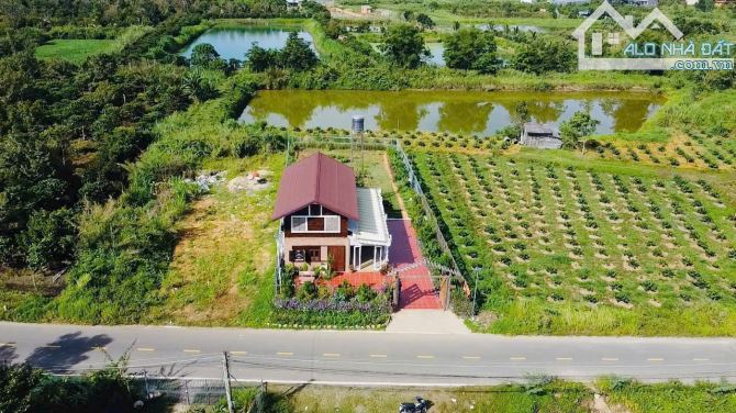 ‼️Chỉ 2,8 tỷ sỡ hữu BT nghỉ dưỡng đẹp như mơ, mt Đinh Công Tráng, Lộc Châu, Bảo Lộc‼️ - 5