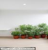 🏡 BÁN NHÀ NGÕ 24 THỔ QUAN – 38,4M² – 5 TẦNG–MẶT TIỀN 4,8M–GIÁ 14,5 TỶ–TRUNG TÂM ĐỐNG ĐA