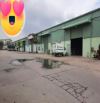 🌟 THƯ MỜI ĐẦU TƯ VIP – LÔ GÓC 7.320M² MẶT TIỀN 140M – BÙI QUỐC HƯNG 🌟