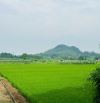 720M2 VIEW CÁNH ĐỒNG, TẶNG NHÀ KIÊN CỐ