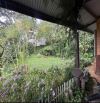 VILLA SÂN VƯỜN KHU BIỆT THỰ QUANG TRUNG, P9, ĐÀ LẠT
