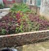 Bán đất Thượng Cát, Bắc Từ Liêm 56m2, giá 4,75 tỷ.