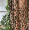 Bán đất ĐÔNG DƯ_ 52m2_ vuông vắn_ ngõ thông oto_ nhỉnh 4 tỉ.