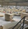 BÁN NHÀ XƯỞNG 3200m2 , THIỆN TÂN VĨNH CỬU ĐỒNG NAI – CHỈ 15,5 TỶ