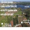 VƯỜN DỪA TUYỆT ĐẸP MẶT TIỀN ĐƯỜNG NHỰA, GẦN HỒ ĐÁ BÀNG, LIỀN KỀ CAO TỐC, GIÁ. CỰC RẺ