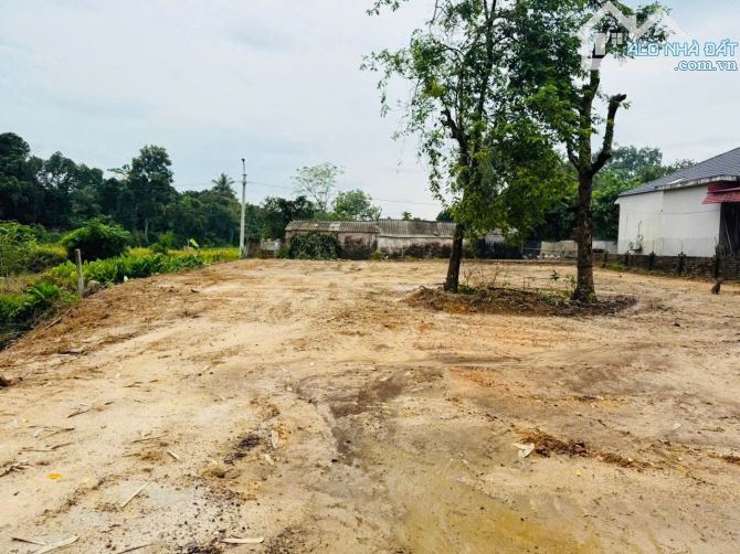 Bán 1.217m2 - sổ đỏ đất đô thị Hà Nội - tặng thêm 1000m2 đất có sẵn ao, phân lô xây nhvườn