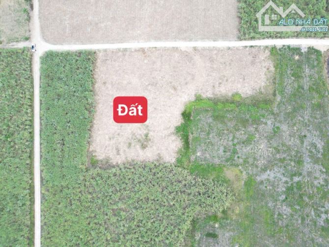 Bán đất diên đồng Giá đầu tư tốt, gần dân cư.