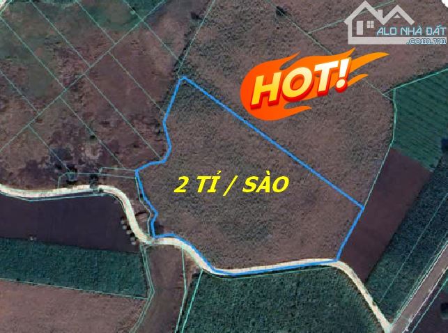 Bán đất 7390 m2 chính chủ - xã láng dài - bà rịa vũng tàu - 3