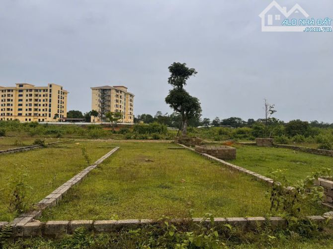 Bán đất 122m² full thổ cư – Mặt tiền 8,6m – Vị trí kinh doanh cực đẹp - 5