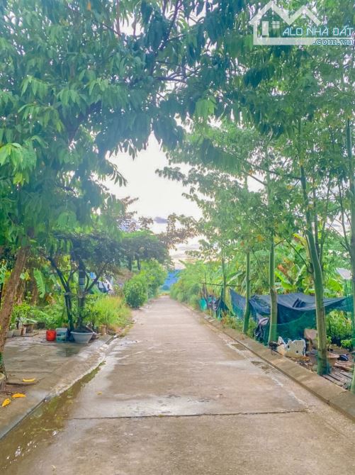 Bán lô đất định cư đường Đá Bàn 5