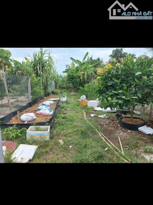 BÁN ĐẤT THỔ 130MV, CHÍNH CHỦ PHƯỜNG 5 TP TÂN AN LONG AN