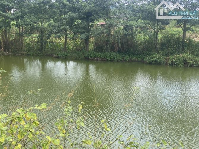 cần bán 5 sào đất phía sau có tiếp giáp hồ lớn phù hợp làm nhà vườn