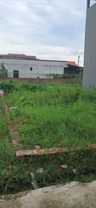 bán 65.9m2 đất trạm lộ - thuận thành - bắc ninh,đường 3m ô tô vào đất,giá chỉ nhỉnh 1 tỷ ạ