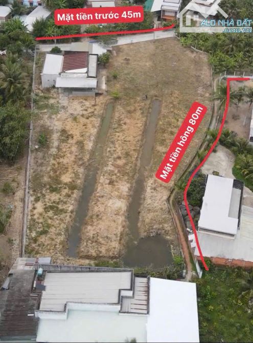 HƠN 3600M2 ĐẤT CÓ THỔ CƯ ĐƯỜNG Ô TÔ GẦN LỘ NHỰA PHÚ TỰ