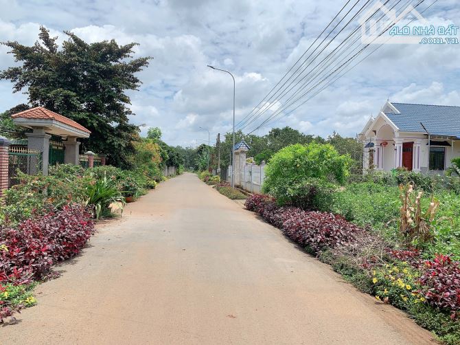 Bán 24,5x48 có 240tc đất thị trấn Kim Long, huyện Châu Đức, BRVT.