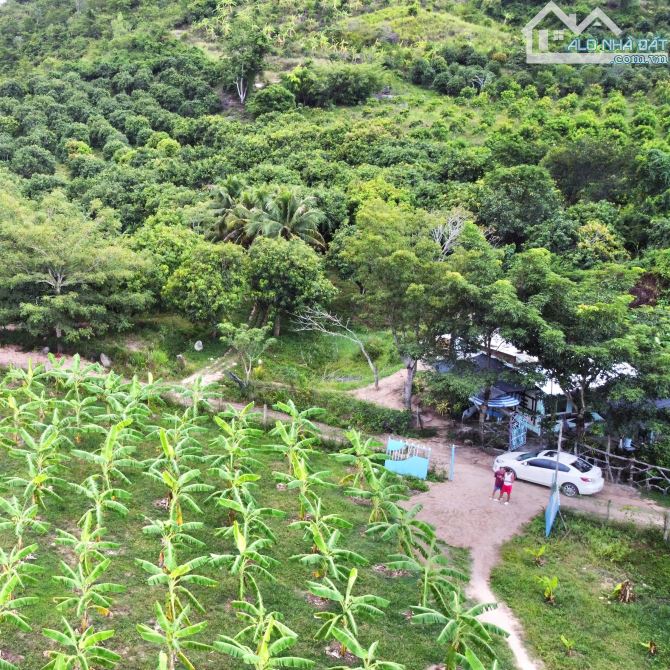 Bán đất vườn Suối Tiên, Diên Khánh. Giá 350k/m2 - 10