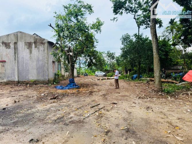 Bán 1.217m2 - sổ đỏ đất đô thị Hà Nội - tặng thêm 1000m2 đất có sẵn ao, phân lô xây nhvườn - 1