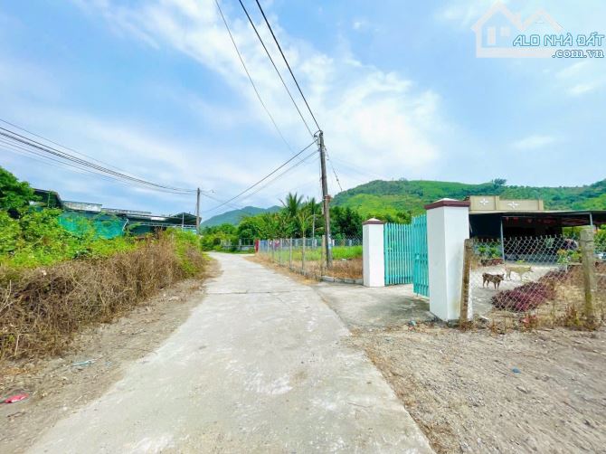 Bán 2 Lô Đất Thổ Cư Trung Tâm Thôn Cây Sung – Xã Diên Thọ, Diên Khánh, Khánh Hòa - 1